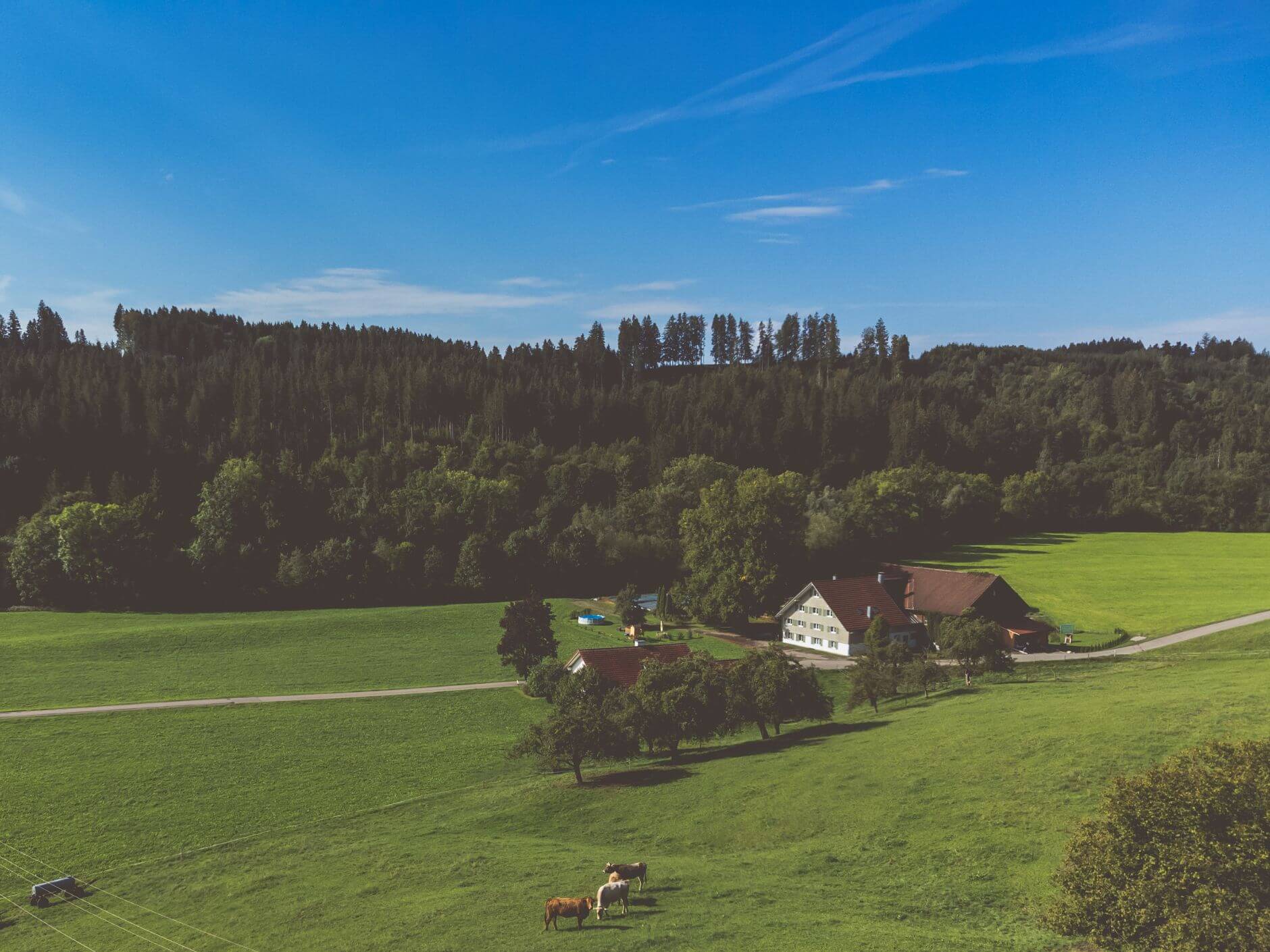 Der limewood Hof aus der Ferne mit grünen Wiesen und Wald