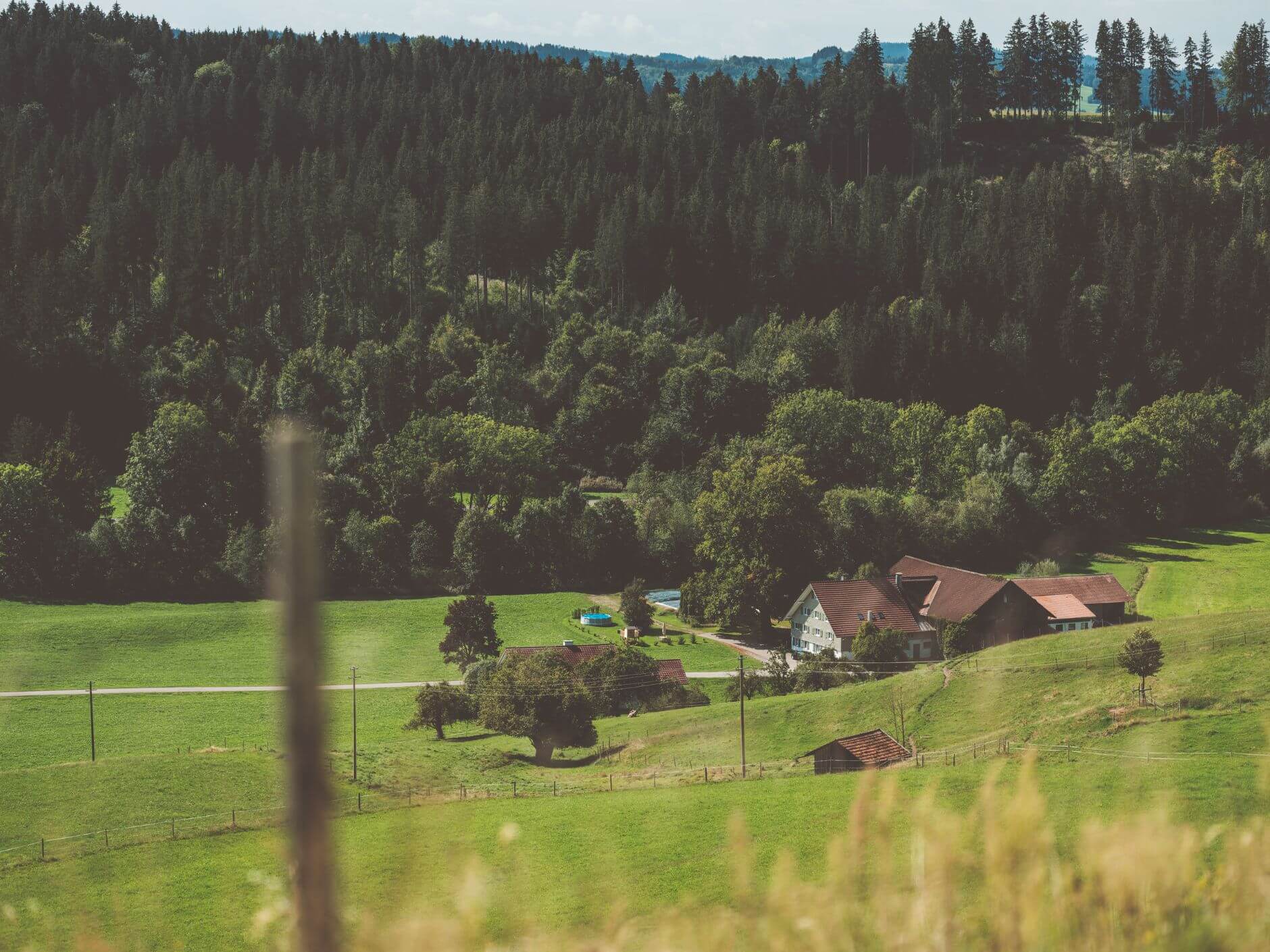 Der limewood Hof aus der Ferne mit grünen Wiesen und Wald